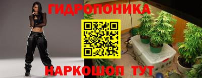 хмурый Кинель