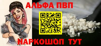 бошки Кингисепп