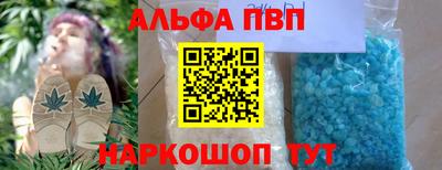 бошки Кингисепп
