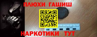 бошки Кингисепп