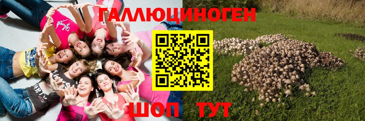 ГАШ  Геленджик  Кокаин  Вход с VPN  МЕФ кристаллы  МАРИХУАНА 